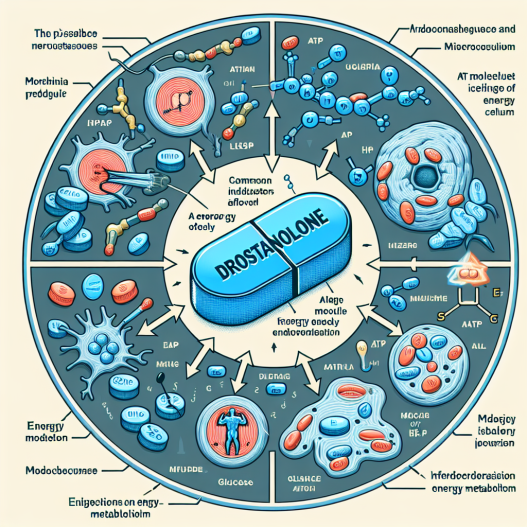 Influence of drostanolone pills on energy metabolism