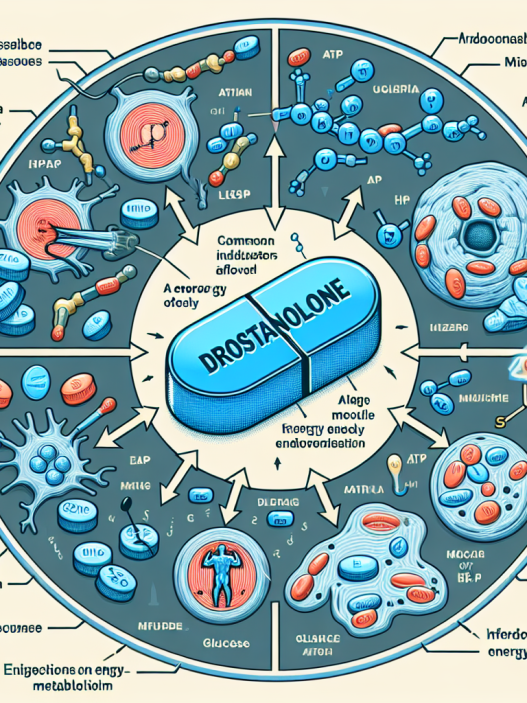 Influence of drostanolone pills on energy metabolism