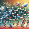 Drostanolone as a performance-enhancing agent in sports