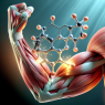 Mildronate dihydrate: an ally for muscle recovery